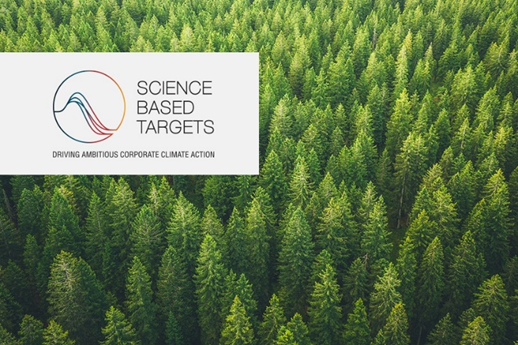 Corporate Climate Action in India: SBTI Commitments