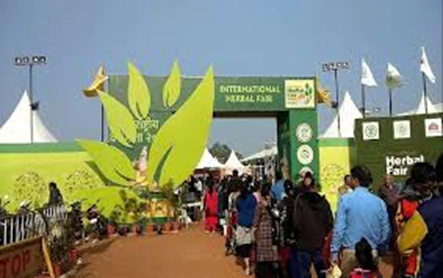 Madhya Pradesh Welcomes 10th International Forest Fair