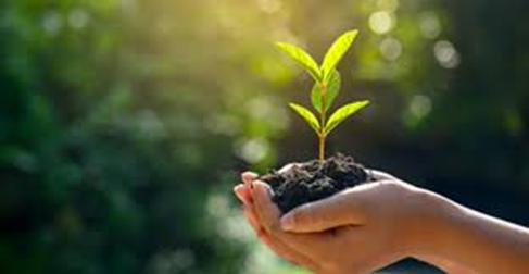 Chhattisgarh’s Green GDP Initiative