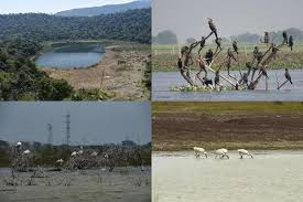 India with 89 Sites has the largest number of Ramsar sites in Asia